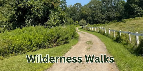 Wilderness Walk