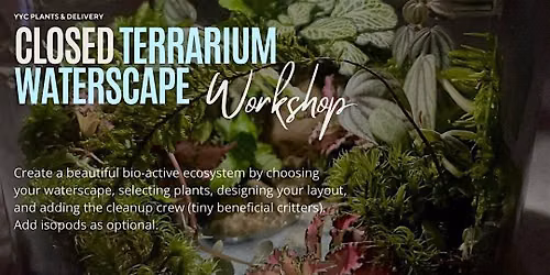 Waterscape Enclosed Terrarium Workshop | Buffalo 9 Brewing