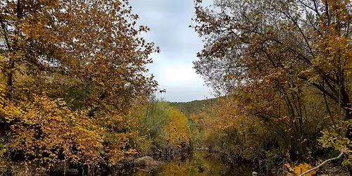 Fall Colors Guided Hike at the Santa Margarita River Trail Preserve