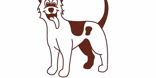 Hosted By Shamrock Athletic Club & NEXT IN LINE Band