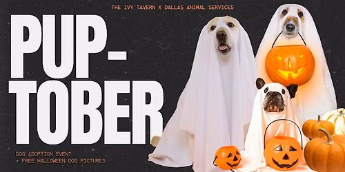 Pup-tober | Dallas Free Pet Adoption Event