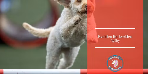 Kvelden f\u00f8r kvelden - agility