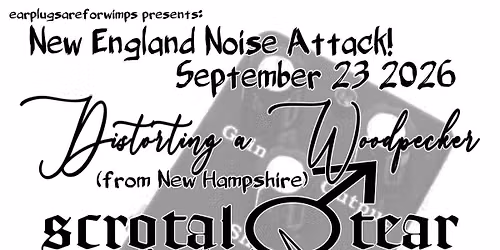New England Noise Attack at Cap City Video Lounge September 23