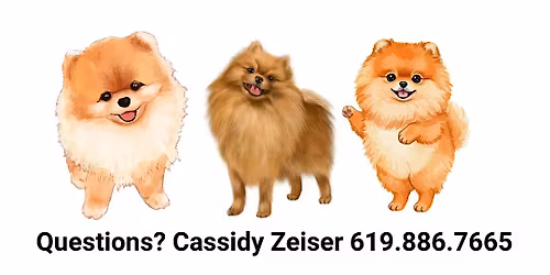 Small Dog and Pomeranian Meetup