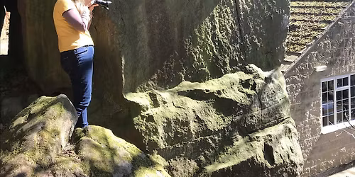 Photography in Nature Workshop