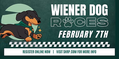 Wiener Dog Races 