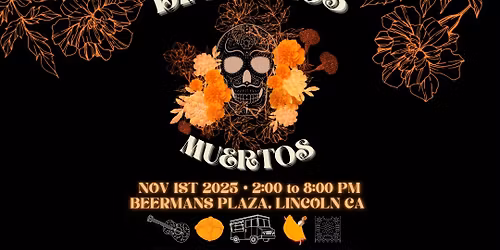  DAY OF THE DEAD FESTIVAL DOWNTOWN LINCOLN 