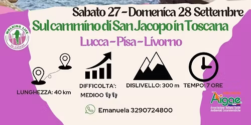 SUL CAMMINO DI SAN JACOPO IN TOSCANA: LUCCA - PISA - LIVORNO