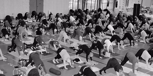 Yoga Event 2026