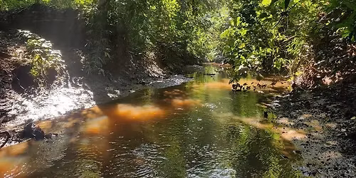 \u09b0\u09c7\u09ae\u09be-\u0995\u09be\u09b2\u09c7\u0999\u09cd\u0997\u09be \u0986\u09b0 \u09b2\u09be\u09b8\u09c1\u09ac\u09a8 \u0997\u09bf\u09b0\u09bf\u0996\u09be\u09a4\u09c7 \u09ab\u09dc\u09bf\u0982\u09df\u09c7\u09b0 \u09a6\u09b2 (\u09e8\u09eb \u09ae\u09be\u09b0\u09cd\u099a)