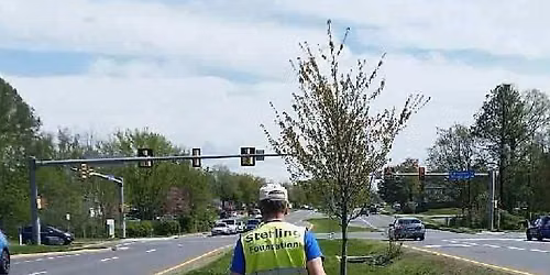 Summer Sterling Blvd Cleanup