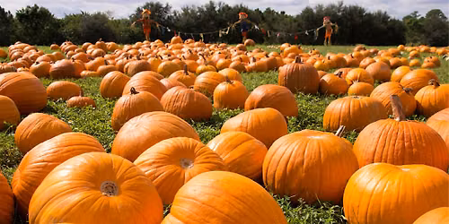 Community Pumpkin Giveaway\/Opening Day At Evans Acres Family Farm