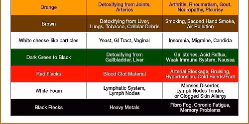 Vendor Pop Up Event - Ion Detox - Healthies of Hillsdale