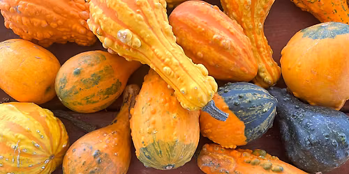 McLean Baptist Church - Ladies' Dinner Out - November 2025