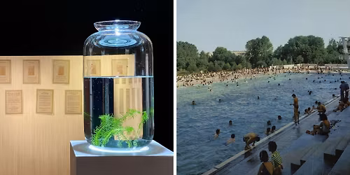 Installation | TROPISME PO\u00c9TIQUE - Des plantes qui dansent \/ Re-plongez ! | Cie Kif Kif