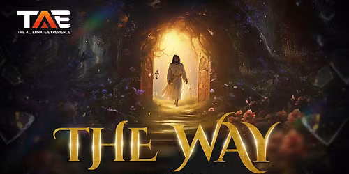 THE ALTERNATE EXPERIENCE