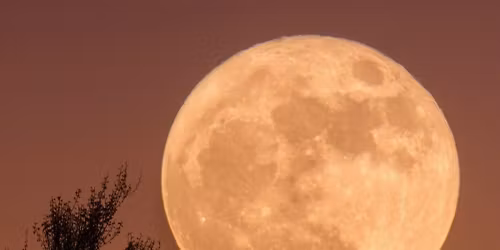 Full Moon Puja & Meditation