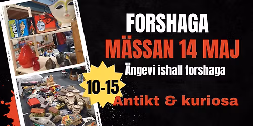 Forshaga M\u00e4ssan