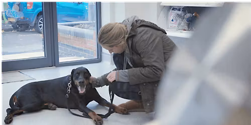 Pet Loss Training Day for Veterinary Professionals-(MANCHESTER)