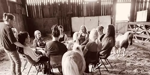 Healing circle with our magical minis. 