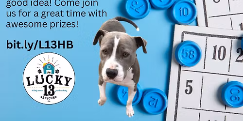 Charity Bingo with Lucky 13 Rescue at Hamburger Mary's April 18th (4-6pm)