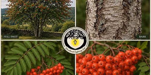 Rowan Tree: Magic, folklore and storytelling free workshop