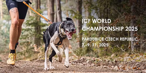 Mistrovstv\u00ed sv\u011bta v individu\u00e1ln\u00edm mushingu 2025