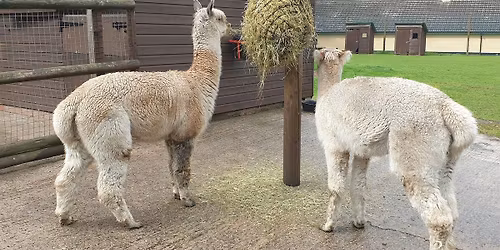 Myerscough College Advice Morning - Walton Hall Warrington Centre (Nov)