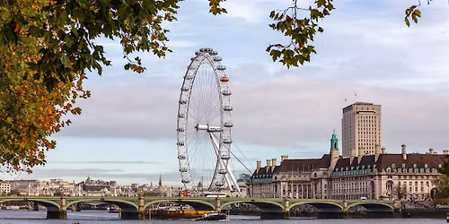 London Eye Champagne Experience (from New York City)