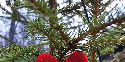 Jul p\u00e5 Eidsvoll Bygdetun