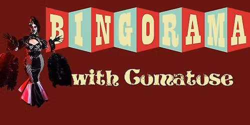 Bingorama with Comatose  Jan 17
