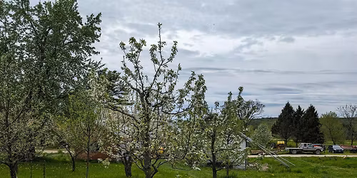 Tree ID and Natural History Tour of Red Rocks Park