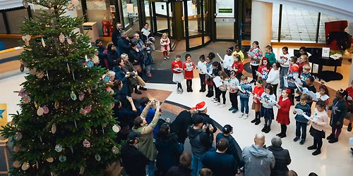 Festive Fun Day \u2744