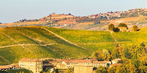 Wines from the North of Italy: Piedmont Region