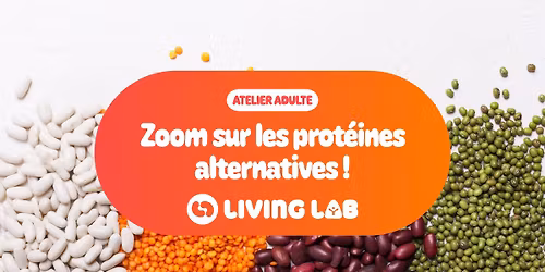 Zoom sur les prot\u00e9ines alternatives !