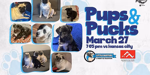 Pucks 'N Pups Night 2