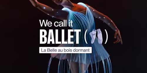 We call it Ballet: la Belle au bois dormant, danse et spectacle de lumi\u00e8re