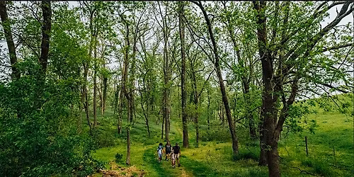 Spring Habitat Detectives