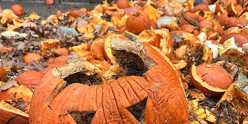 Pumpkin Smash 2025
