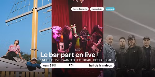 CONCERT - Le bar part en live ! 1 soir\u00e9e, 3 concerts - ENDLESS DIVE + WANTED TORTUGAS +BOOGIE BEASTS