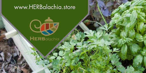 Herb Gardening Workshop