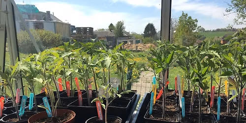 \u00c9change de surplus de plants