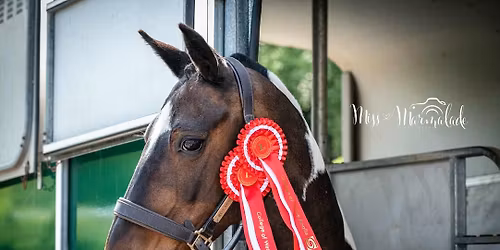 Unaffiliated Dressage & Team Dressage 2026