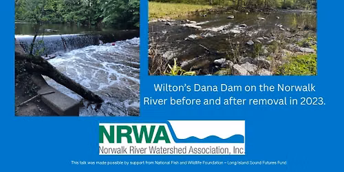 How Dam Removal is Improving Water Quality and Wildlife Habitat Here and Across the State