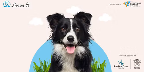 Free Dog Training Session in Buderim