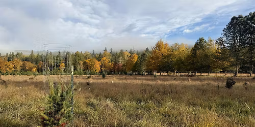 Tree Planting with Nisqually Stream Stewards - Powell Creek Protected Area