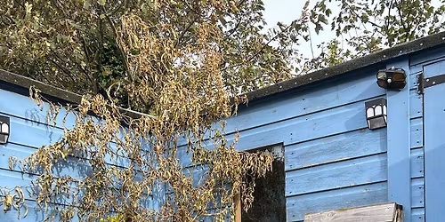 Connecting Carers Christmas Craft Fayre