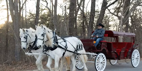 Mothers Day Horse Drawn Carriage Rides - Westerly