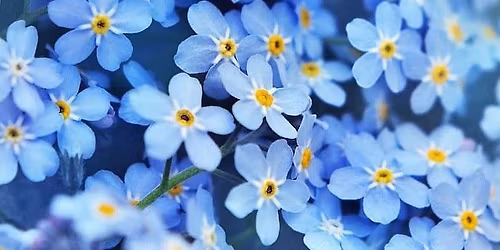 May J4J Playgroup for Grieving Kids