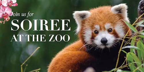 Soiree at the Zoo
